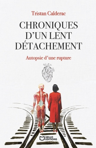 Chroniques d'un lent détachement. Autopsie d'une rupture