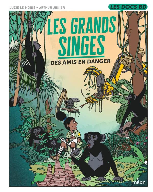 Les grands singes. Des amis en danger