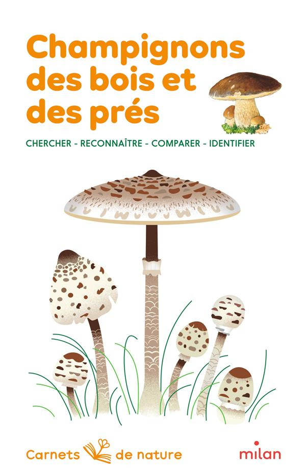Champignons des bois et des prés. Chercher, reconnaître, comparer, identifier