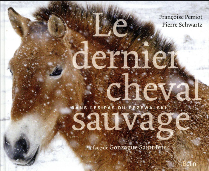 Le dernier cheval sauvage. Dans les pas du Przewalski