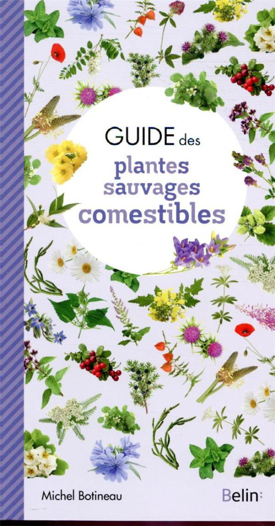 Guide des plantes sauvages comestibles