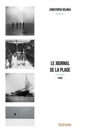 Le Journal de la plage. Roman