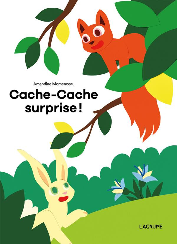Cache-Cache surprise !