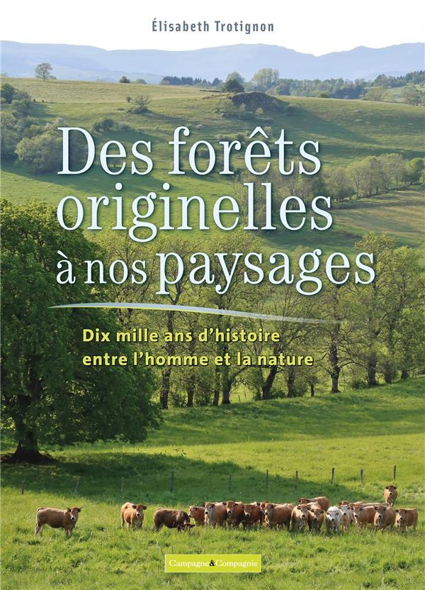 Des forêts originelles à nos paysages. Dix mille ans d'histoire entre l'homme et la nature