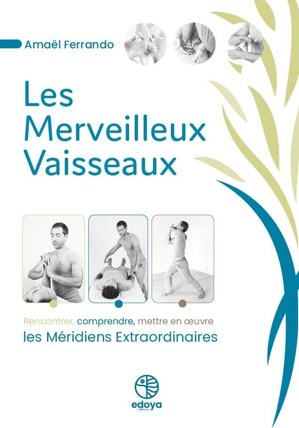 Les merveilleux vaisseaux. Rencontrer, comprendre, mettre en oeuvre les méridiens extraordinaires