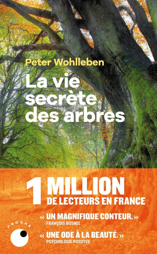 La vie secrète des arbres. Ce qu'ils ressentent, comment ils communiquent, un monde inconnu s'offre