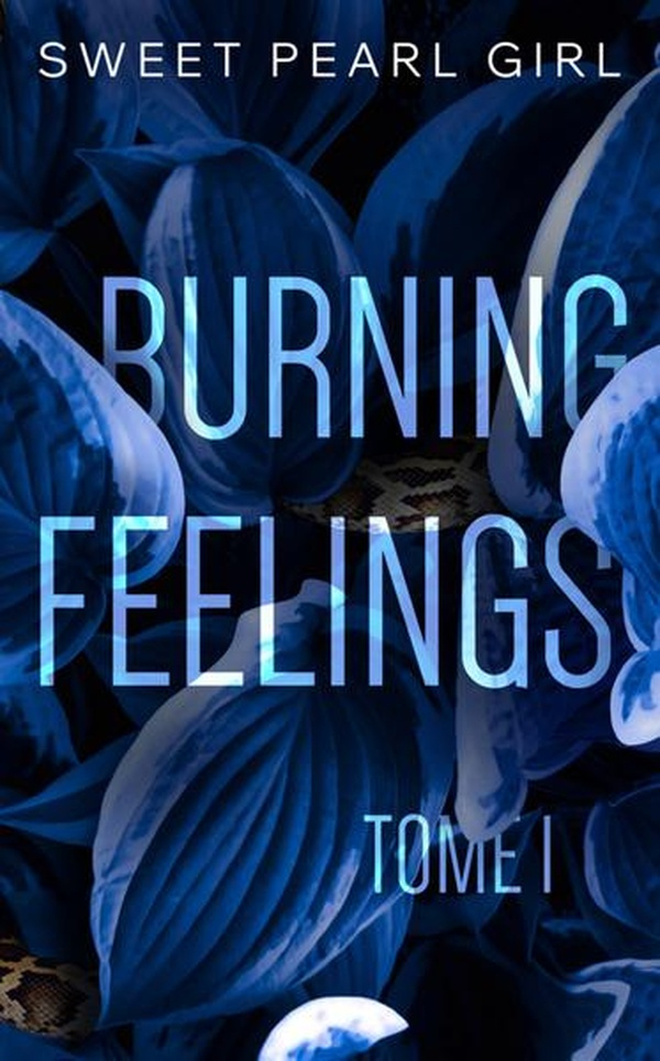 Burning feelings Tome 1
