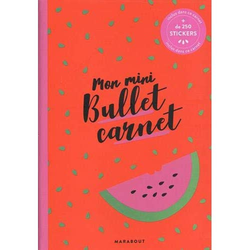 Mon mini Bullet carnet. Avec   250 stickers