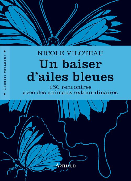 Un baiser d'ailes bleues