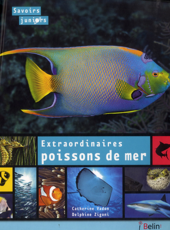 Extraordinaires poissons de mer