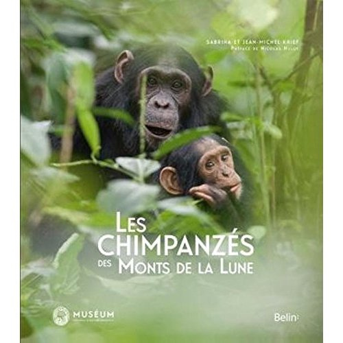 Les chimpanzés des Monts de la Lune
