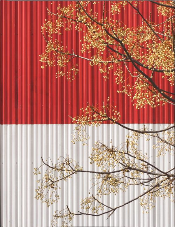 Jérôme Bryon. Possibilité de survie en milieu hostile