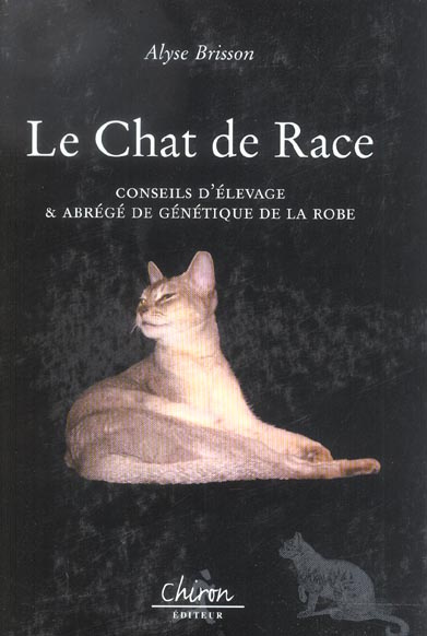 CHATS DE RACE