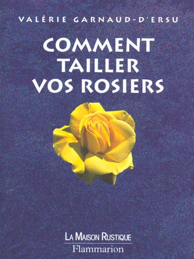 Comment tailler vos rosiers