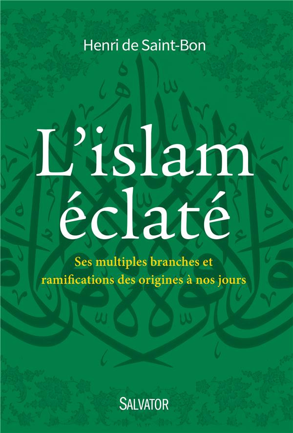 L'islam éclaté. Ses multiples branches et ramifications des origines à nos jours