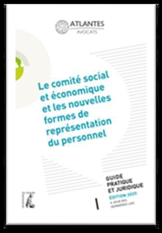 Le comité social et économique et les nouvelles formes de représentation du personnel. Guide pratiqu