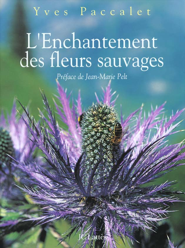 L'ENCHANTEMENT DES FLEURS SAUVAGES