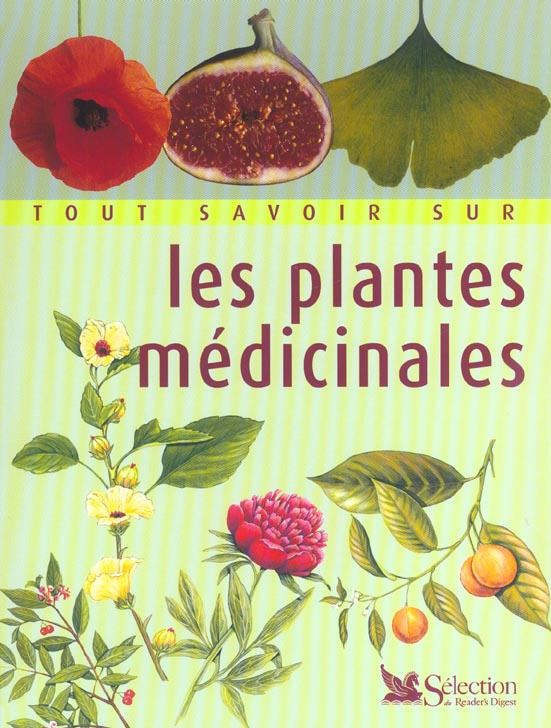 Tout savoir sur les plantes médicinales