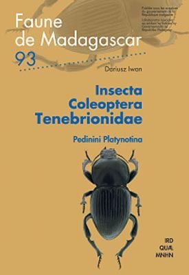 Insecta coleoptera Chironidae