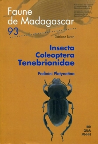 Insecta Coloeptera Tenebrionidae