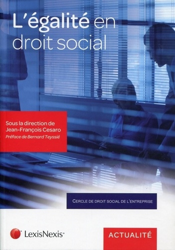 L'égalité en droit social. Pragmatisme et prospective