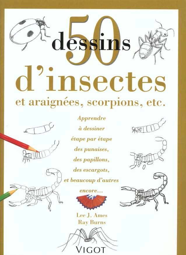 50 Dessins d'insectes