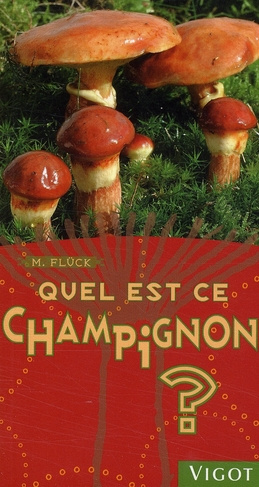 Quel est ce champignon ?
