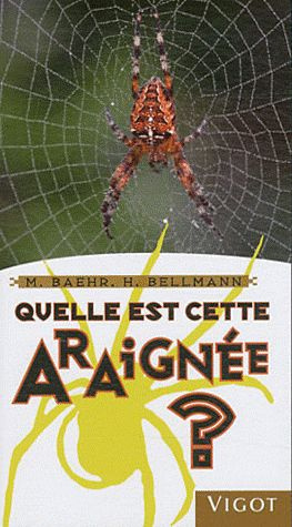 Quelle est cette araignée ?