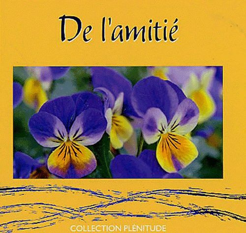 DE L'AMITIE