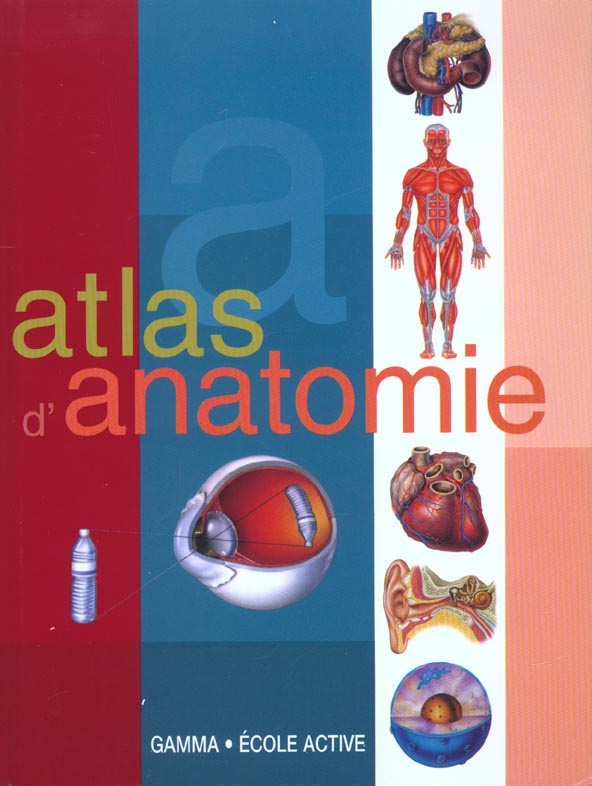Atlas d'anatomie