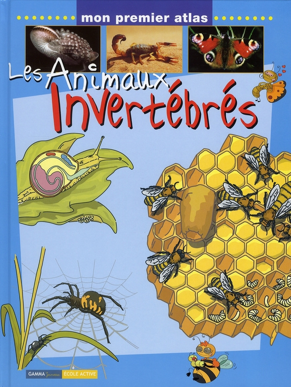 Les Animaux invertébrés