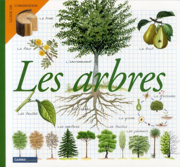 Les arbres