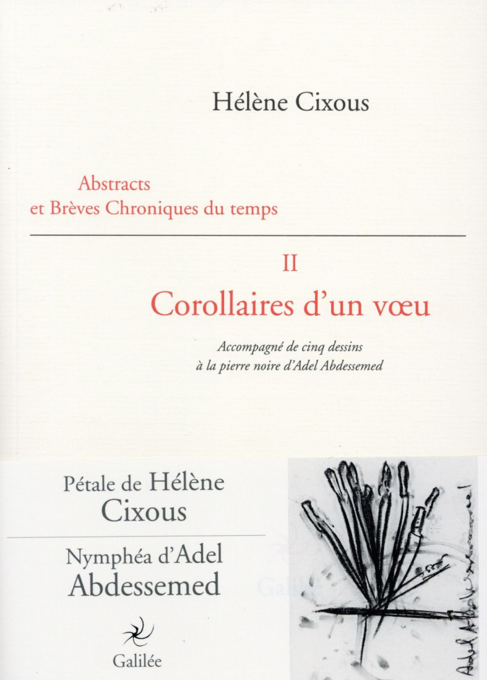 Abstracts et brèves chroniques du temps. Tome 2, Corollaires d'un voeu