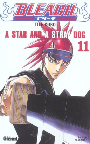 Bleach Tome 11 : A Star and a Stray Dog