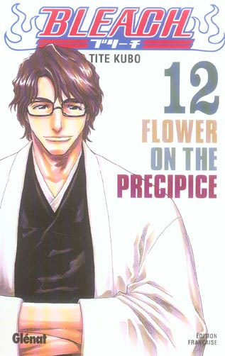 Bleach Tome 12 : Flower on the Precipice