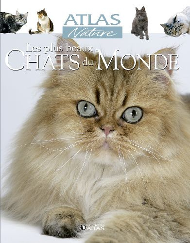 Les plus beaux Chats du Monde