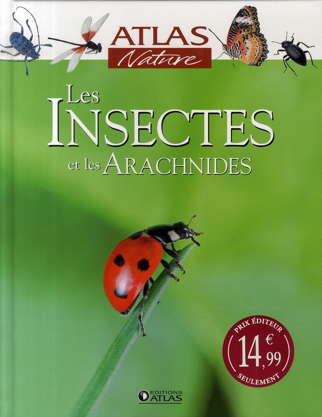 Les Insectes et les Arachnides