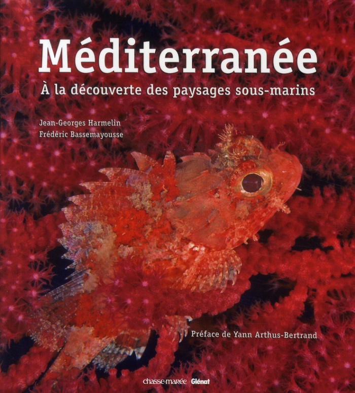 Méditerranée. A la découverte des paysages sous-marins