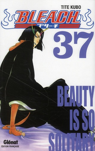 Bleach Tome 37 : Beauty is so Solitary