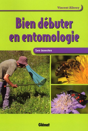 Bien débuter en entomologie. Les insectes
