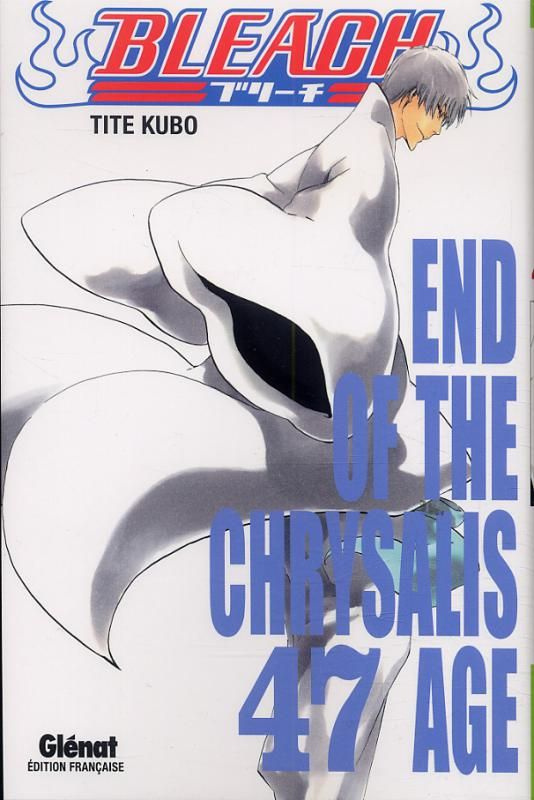 Bleach Tome 47 : End of the Chrysalis Age
