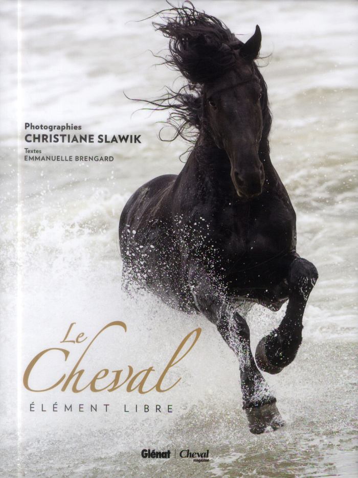 Le cheval. Elément libre