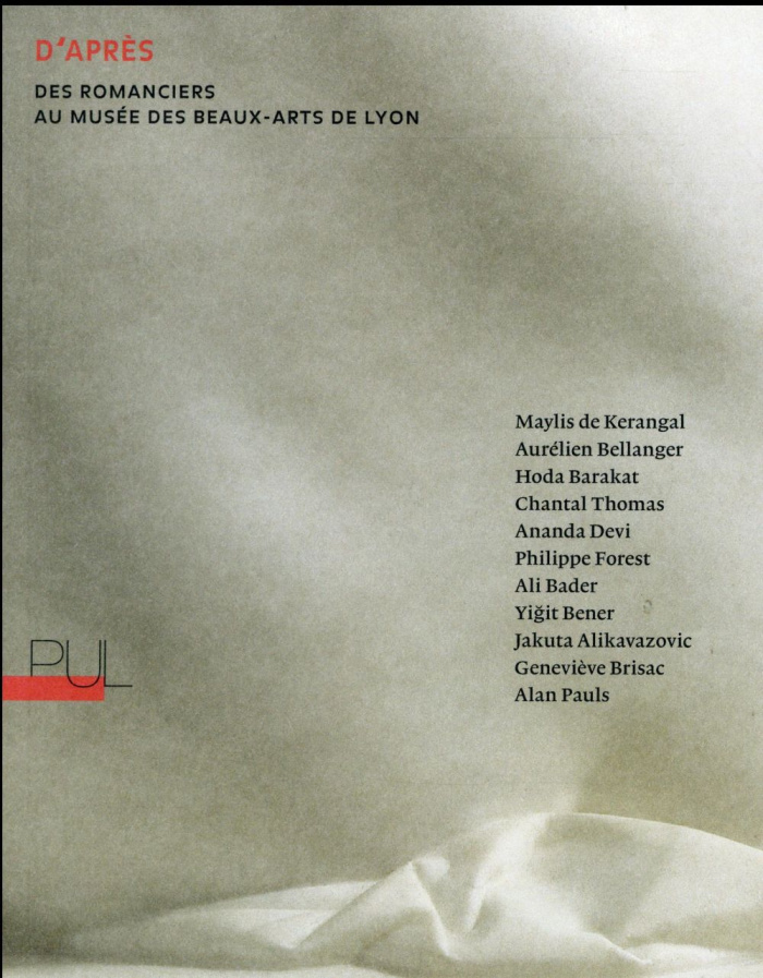 D'après. Des romanciers au musée des Beaux-Arts de Lyon