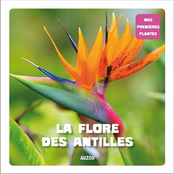 La flore des Antilles