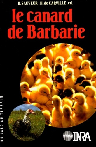 LE CANARD DE BARBARIE