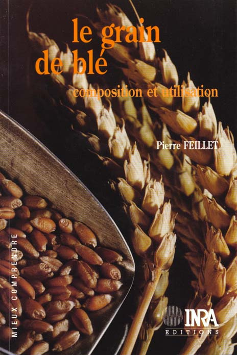 LE GRAIN DE BLE. COMPOSITION ET UTILISATION