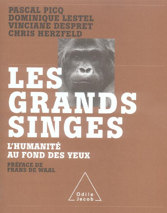 LES GRANDS SINGES