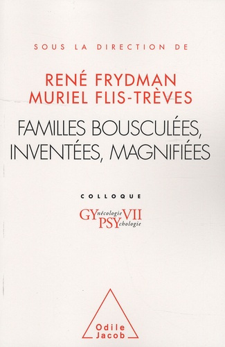 Familles bousculées, inventées, magnifiées. Colloque