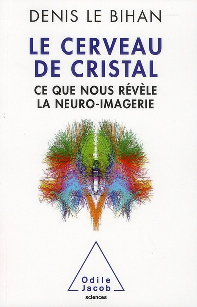 Le cerveau de cristal. Ce que nous révèle la neuro-imagerie