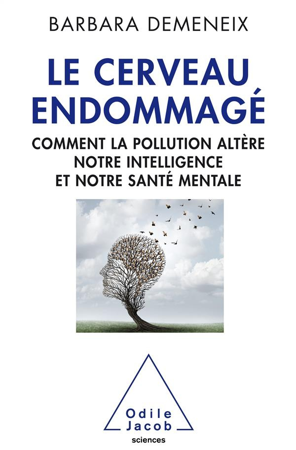 Le cerveau endommagé. Comment la pollution altère notre intelligence et notre santé mentale
